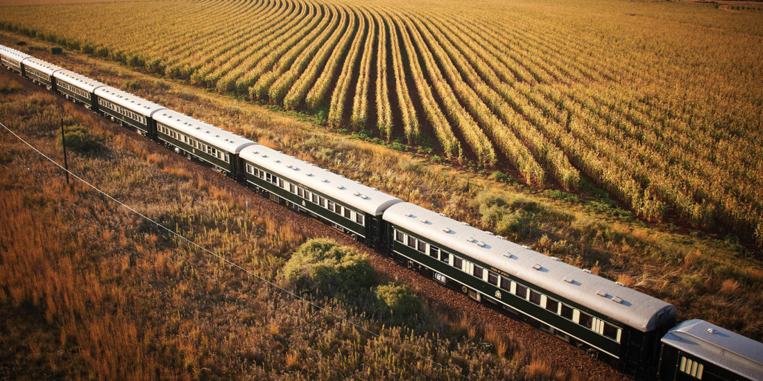 Shongololo train