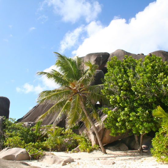 La Digue in Seychelles