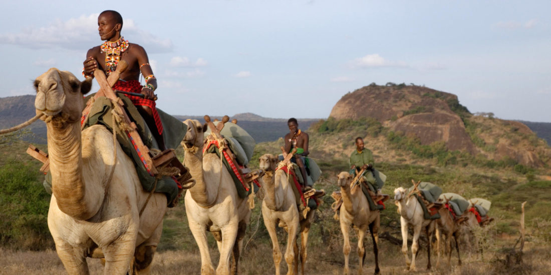 Camel back safari