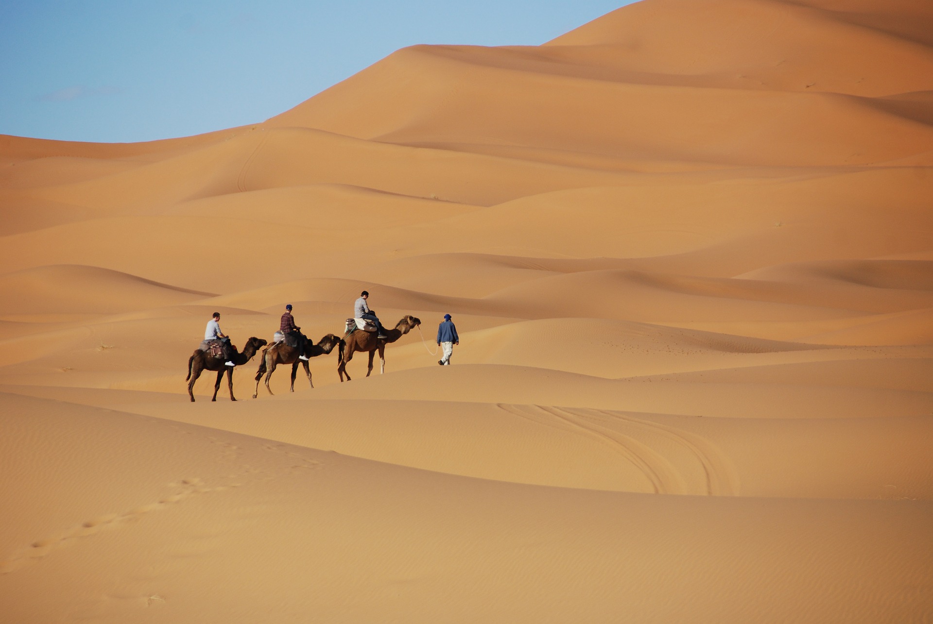 Camel RIders in Desert