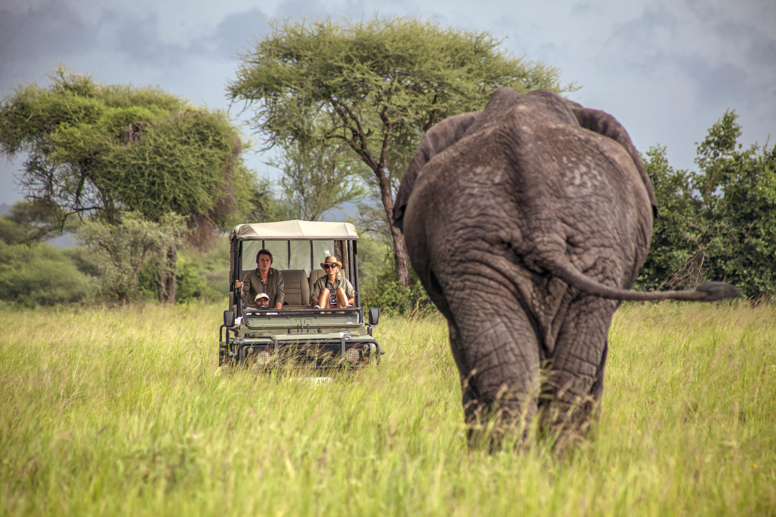 Elephant and Vehicle at Chem Chem