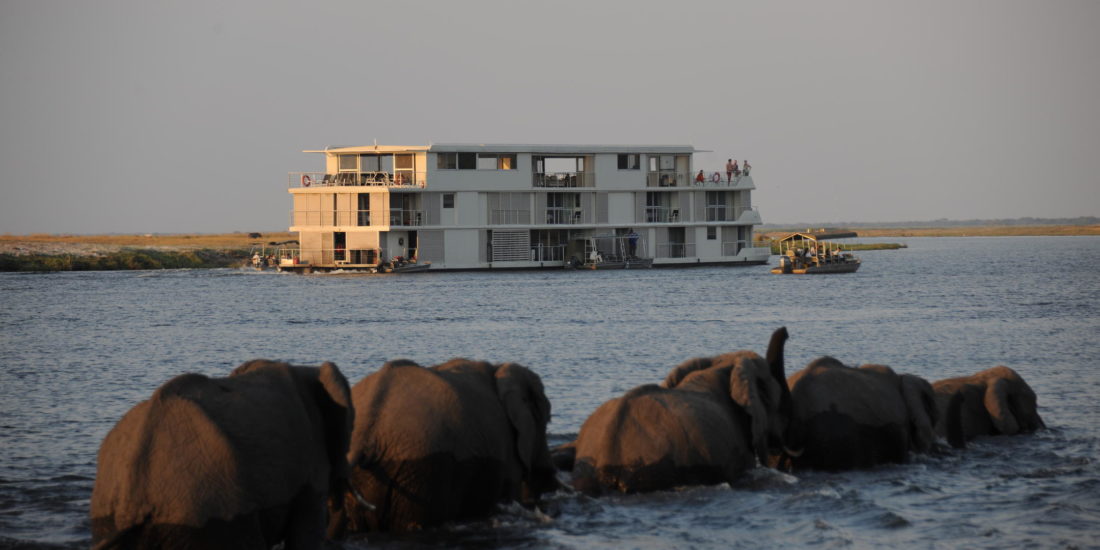 Elephants in front of Cruise Boat