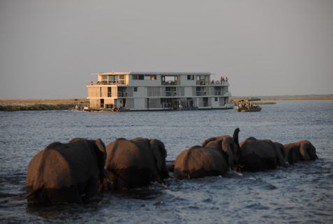 Elephants in front of Cruise Boat