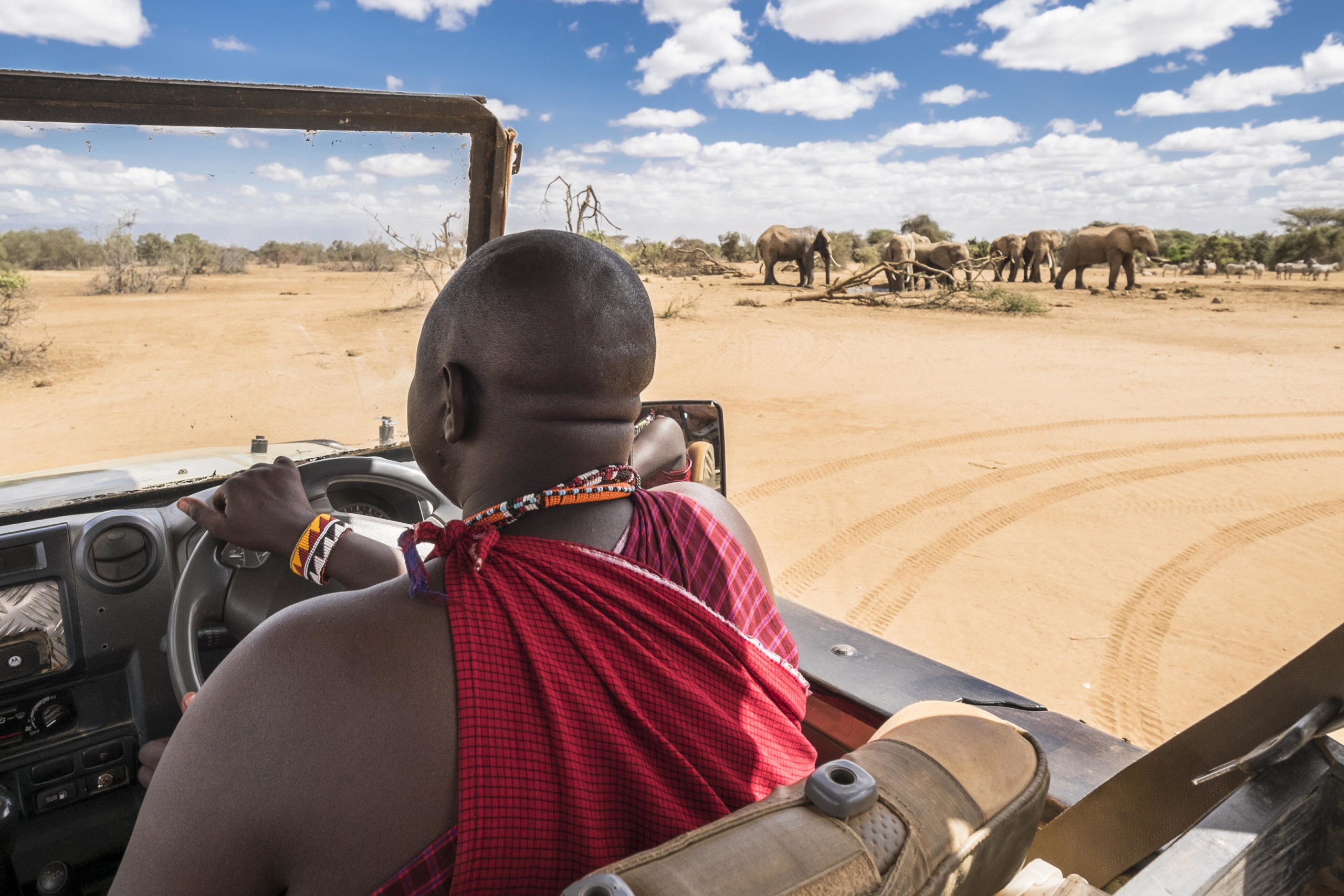 Game-Drive Selenkay Conservancy