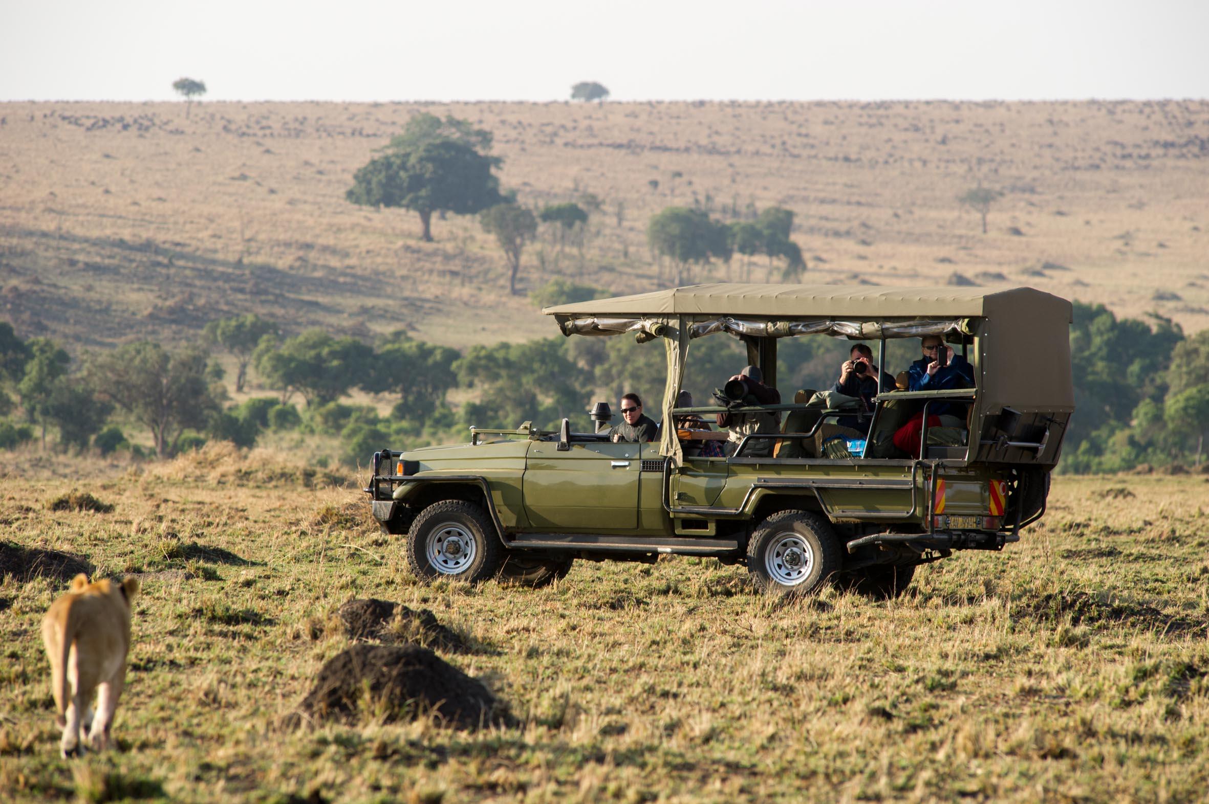 Game Drive in Masai Mara