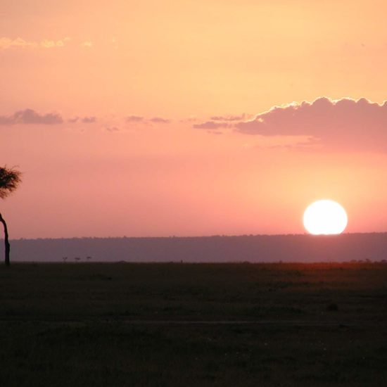 Masai Mara Sunset
