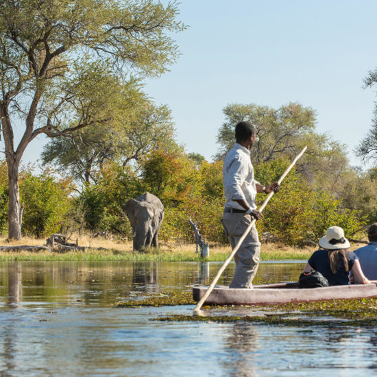 Mekoro in Botswana