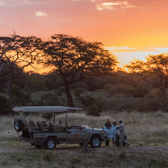 Sunset game drive