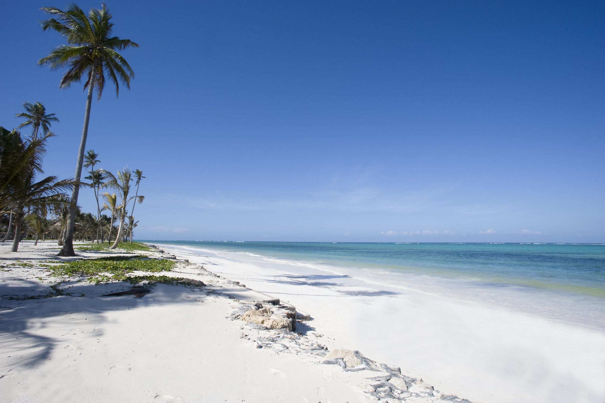 Beach in Zanzibar