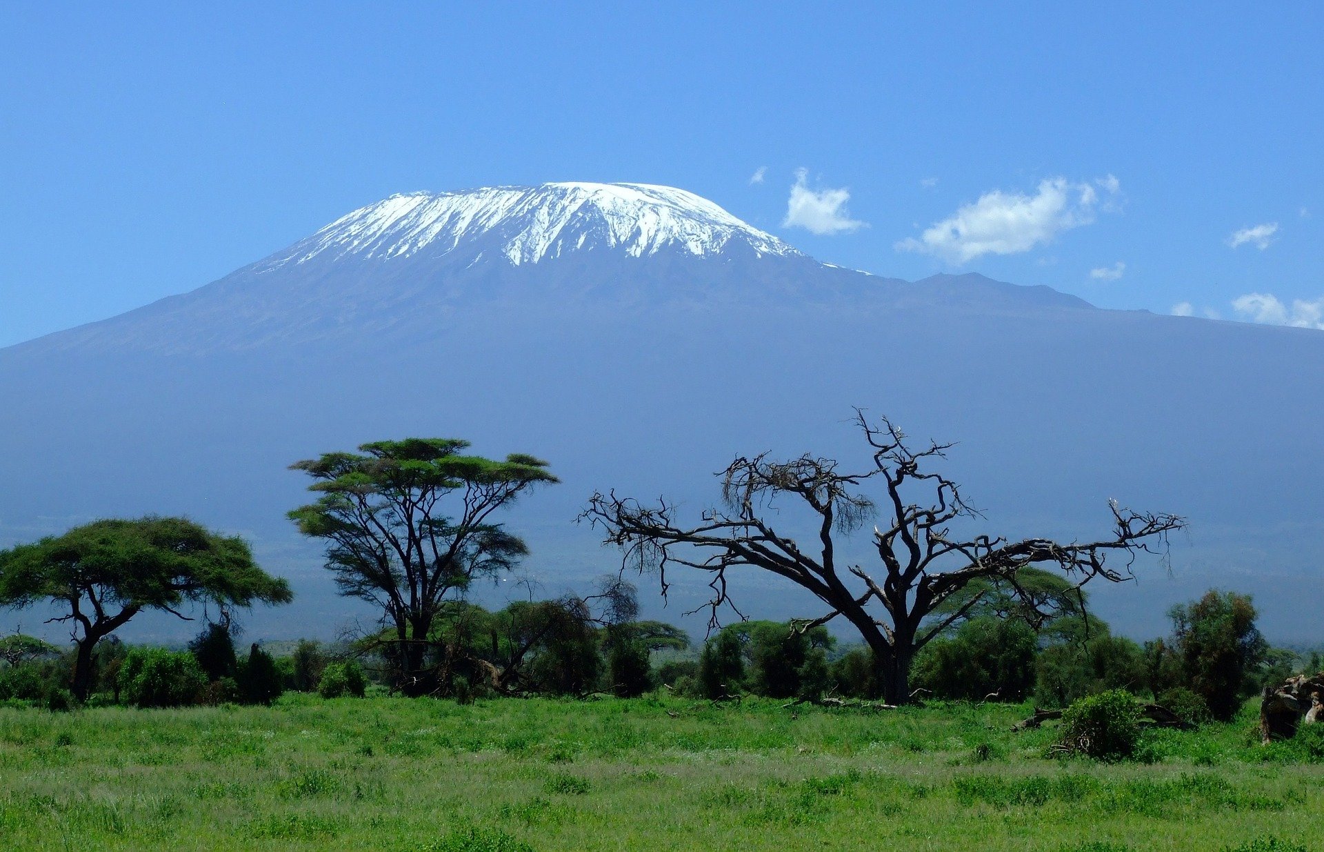 Kilimanjaro