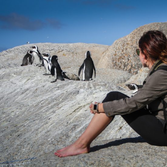 penguins with lady sitting