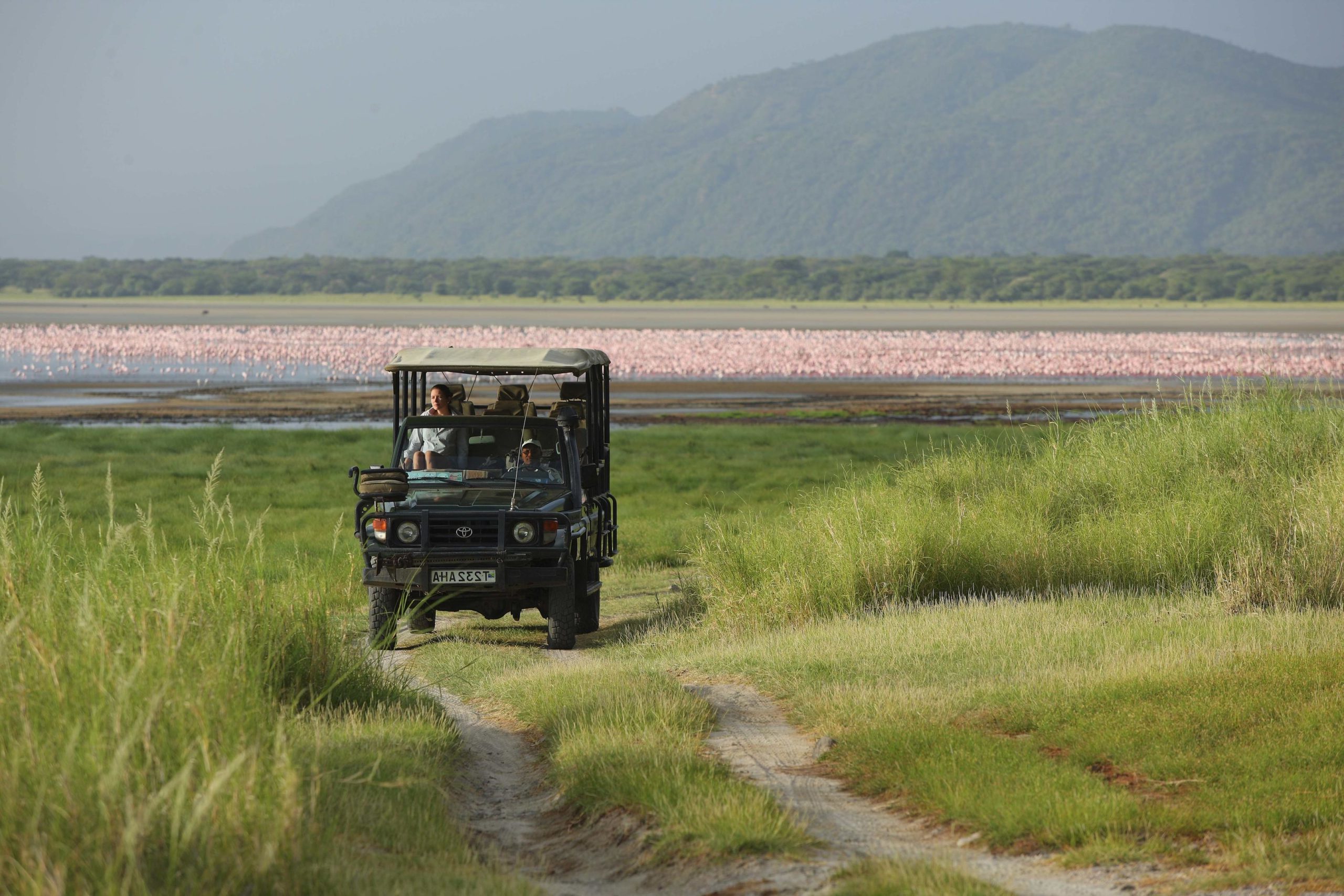 Flamingos on Lake Manyara with vehicle
